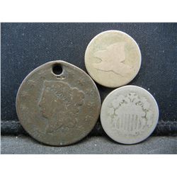 1800s Lg, Sm Cents, Shield nickel