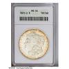 1891-O S$1 MS64 ANACS. Hints of golden color are noted 1891-O[S$1] MS64 ANACS.