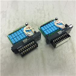 (2) GE Fanuc IC610MDL182A Relay Output Module