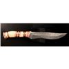 Image 1 : Damascus Knife