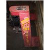 Image 2 : PALLET JACK / WORKS