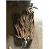 Image 1 : HEAVY DUTY ROPE