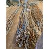 Image 1 : 12 FT. LENGTH CHAIN W/ HOOKS