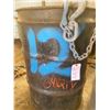 Image 6 : 12 FT. LENGTH CHAIN W/ HOOKS