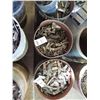 Image 1 : DECK CLIPS, 1650 PCS