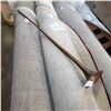 Image 1 : COPPER HORN