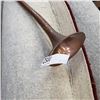 Image 2 : COPPER HORN