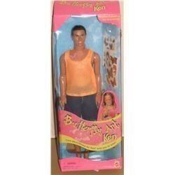 Barbie's friend is this one: collectible Ken "Butterfly Art - Ken dans sa boite avec l'art papillon
