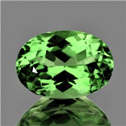 Natural Green Tsavorite Garnet 6.5x5 MM {Flawless-VVS}