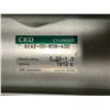Image 10 : LOT OF CKD LARGE CYLINDER