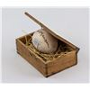 Image 4 : Piero Manzoni Italian Modernist Egg in Box