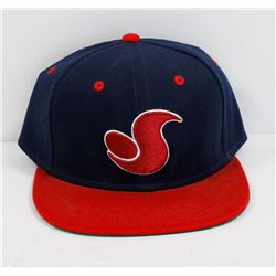NAVY BLUE AND RED DVS SNAP BACK BALL CAP