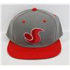 Image 1 : RED AND GREY DVS SNAP BACK BALL CAP