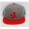 Image 1 : RED AND GREY DVS SNAP BACK BALL CAP
