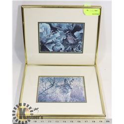 LOT OF 2 FRAMED WILDLIFE PICTURES