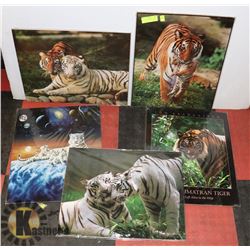LOT OF FIVE 16X20 TIGER POSTERS.