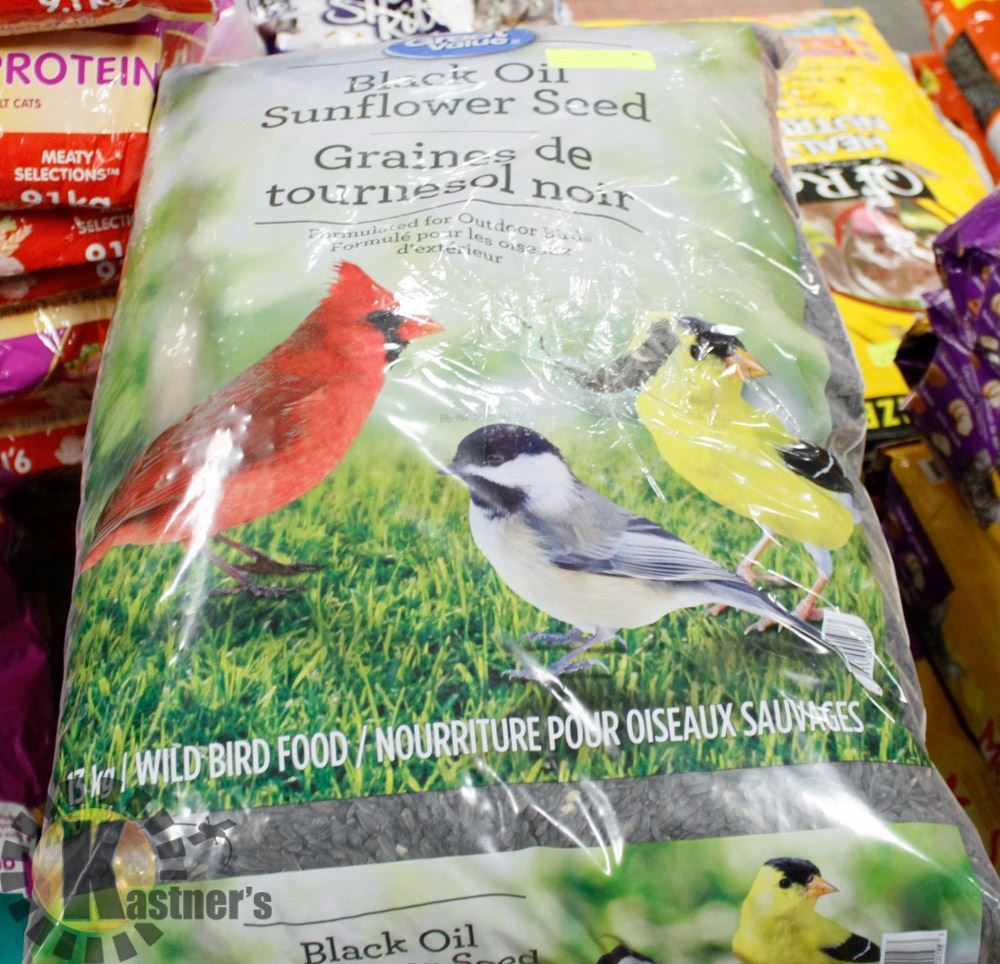 GREAT VALUE BLACK OIL SUNFLOWER SEED BIRD FOOD