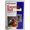 Image 1 : EXERCISE BALL.