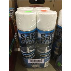 Salt Eraser 4-Pack