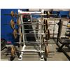 Image 1 : WEIGHT RACK WITH 10 BARBBELLS & APPROX 400 LBS OF WEIGHTS