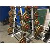 Image 2 : WEIGHT RACK WITH 10 BARBBELLS & APPROX 400 LBS OF WEIGHTS