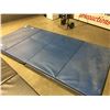 Image 1 : TEAM STYLELINE ATHLETIC MAT 4' X 8'