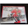 Image 1 : LOT OF 10 VICTORY HOCKEY ROOKIE CARDS (2008 - 2009)