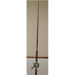 PENN FISHING REEL WITH ROD