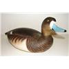 Image 1 : 1930S WARD BROS. BLUEBILL HEN DECOY