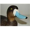 Image 4 : 1930S WARD BROS. BLUEBILL HEN DECOY