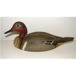 UPPER BAY, MARYLAND GREEN WINGED TEAL D