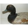 Image 2 : UPPER BAY, MARYLAND SCAUP DECOY
