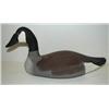 Image 1 : SMALL UPPER BAY, MARYLAND CANADA GOOSE 
