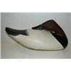 Image 1 : HAVRE DE GRACE, MARYLAND CANVASBACK DRA