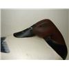 Image 2 : HAVRE DE GRACE, MARYLAND CANVASBACK DRA
