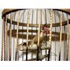 Image 2 : ANTIQUE BIRD IN CAGE AUTOMATA