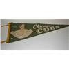 Image 1 : VINTAGE CHICAGO CUBS PENANT