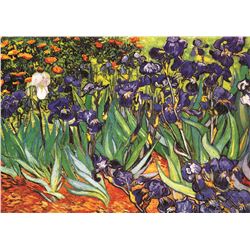 Garden Of Irises, By Vincent Van Gogh