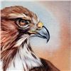 Image 2 : "American Redtail Hawk" Limited Edition Giclee Gallery Wrapped Canvas on Canvas by Martin Katon, Num