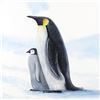 Image 2 : "Antarctic Penguins" Limited Edition Giclee on Canvas by Renowned Artist Wyland, Numbered and Hand S