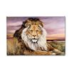 Image 1 : "African Lion" Limited Edition Giclee on Canvas by Martin Katon, Numbered and Hand Signed. This piec