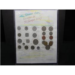 DIY Mint set from the Caribbean
