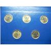 Image 8 : Complete 1999-2009 Clad State Quarters