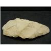 Image 1 : Large Genuine Indian scraper. Thousands of yrs olds