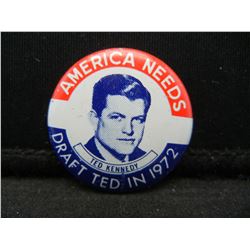 Ted Kennedy button
