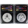 Image 2 : 2013 AMERICAN EAGLE SET