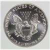 Image 2 : 1991 AMERICAN SILVER EAGLE
