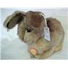 Image 1 : 10 Steiff Pummy Rabbit