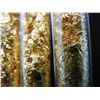 Image 2 : 4 Vials of Leaf Flakes