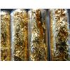 Image 2 : 4 Vials of Leaf Flakes